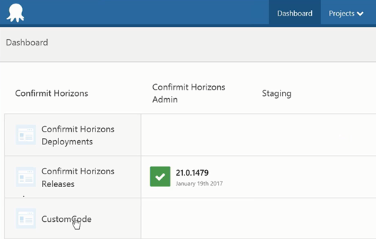 The CustomCode project